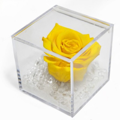 The Stabilized Yellow Rose:...