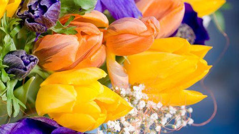 Bouquet & Mazzi