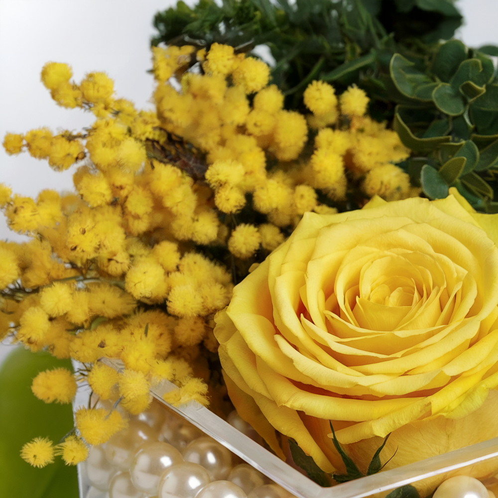 SOLE ETERNO – Rosa Gialla Stabilizzata con Mimosa