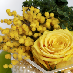 SOLE ETERNO – Rosa Gialla Stabilizzata con Mimosa