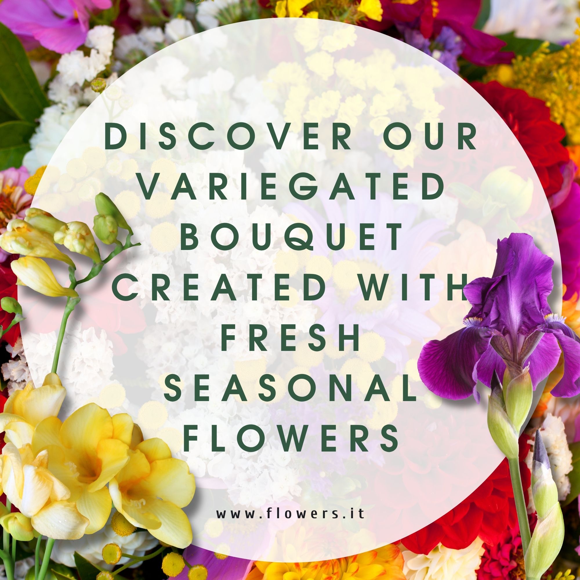 CREATIVITA' MULTICOLORE - Il Bouquet del fiorista con tonalità multicolore