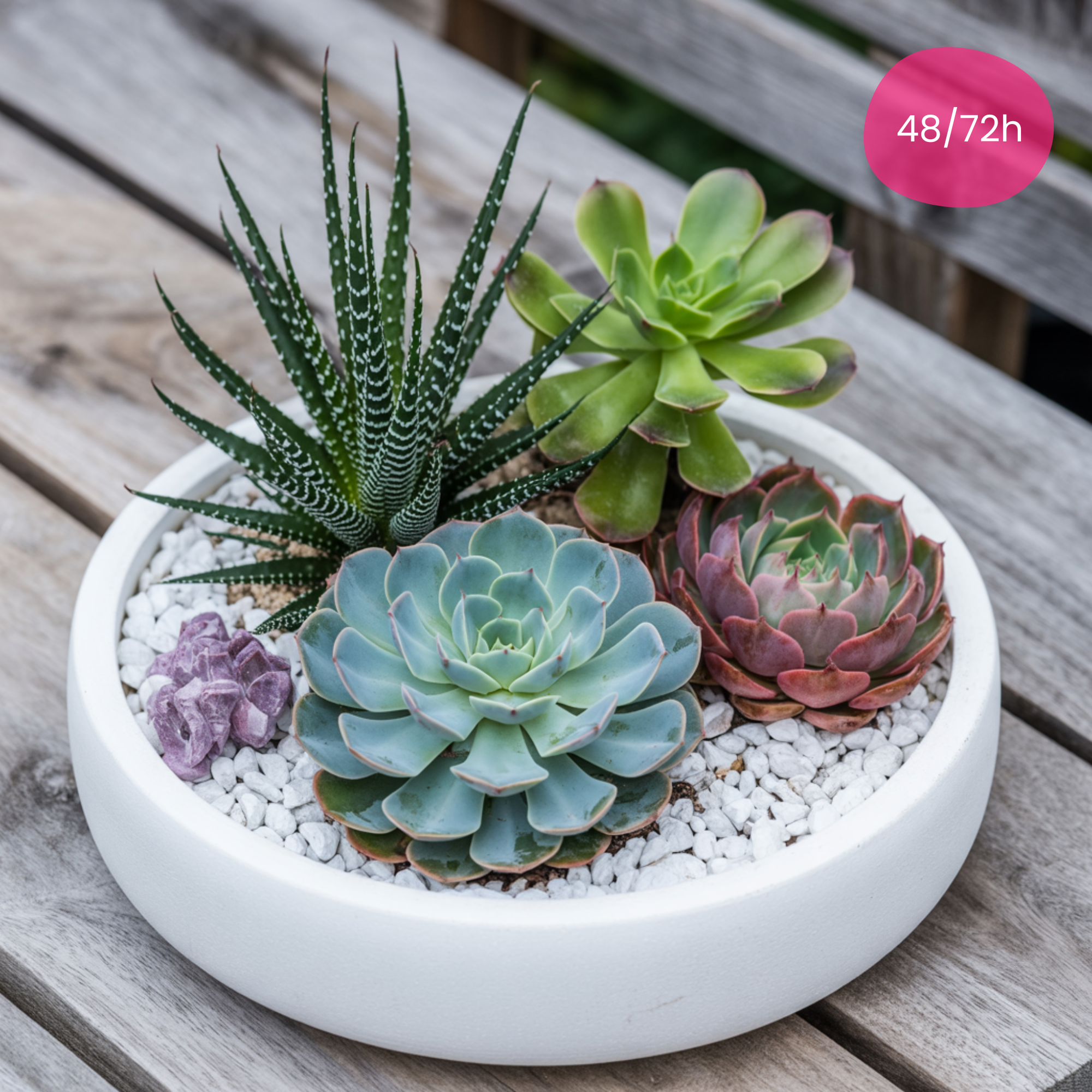 succulent composition Green and Succulent Plant Arrangement – An Elegant Gift Idea – Delivery Flowers