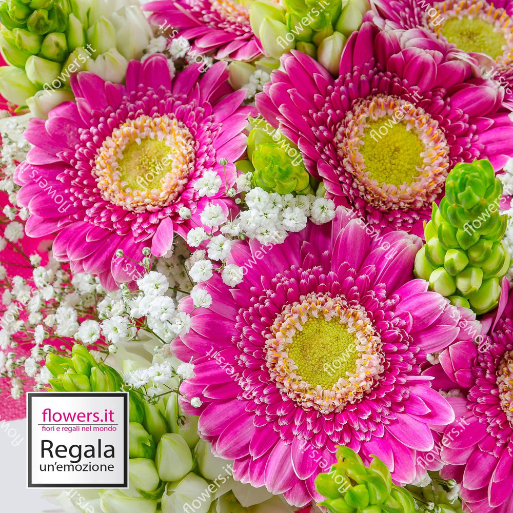 Gerbere con verde decorativo. | Consegna Fiori a Domicilio per Compleanni, Compleanno, Festa della Donna, Festa della Mamma, Laurea, Nascita, Nascite, Pasqua, Primavera, TUTTE LE STAGIONI