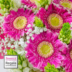SPONTANEITY - Gerberas and Ornithogalum