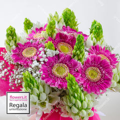 SPONTANEITY - Gerberas and Ornithogalum