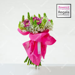 SPONTANEITY - Gerberas and Ornithogalum