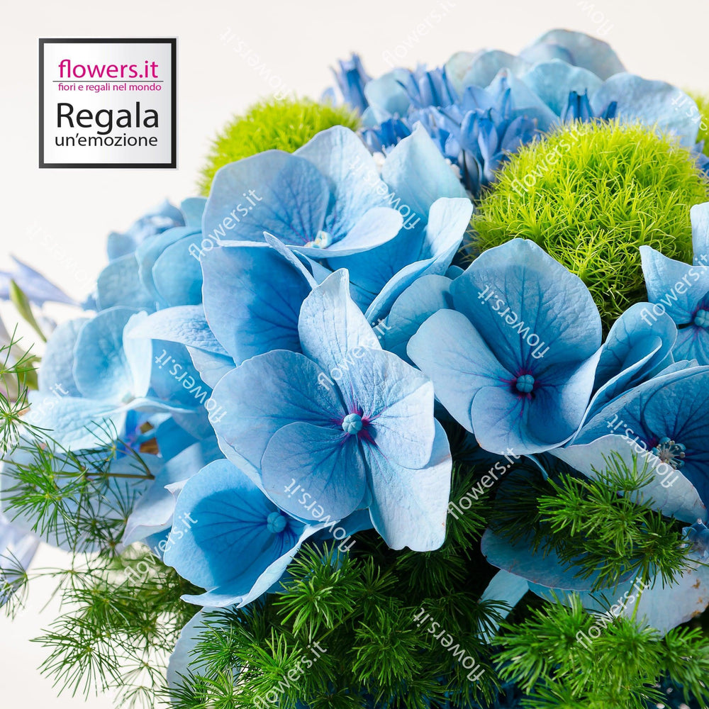 Bouquet di fiori di ortensia celesti/bianchi/rosa. | Consegna Fiori a Domicilio per Compleanni, Compleanno, Festa della Mamma, Laurea, Nascita, Nascite, Pasqua, Primavera, PRIMAVERA ESTATE