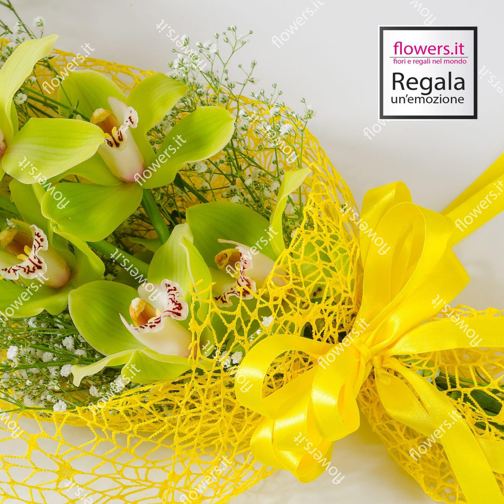 Ramo di cymbidium. | Consegna Fiori a Domicilio per Compleanni, CONDOGLIANZE, Festa del Papà, Festa della Donna
