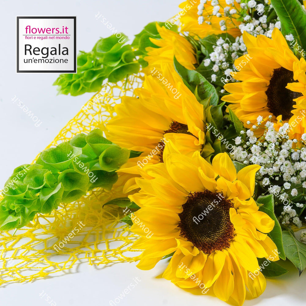 POSITIVITA' - Fascio di girasoli - Fascio di girasoli e fresie bianche. | Flowers Delivery Consegna Fiori a Domicilio