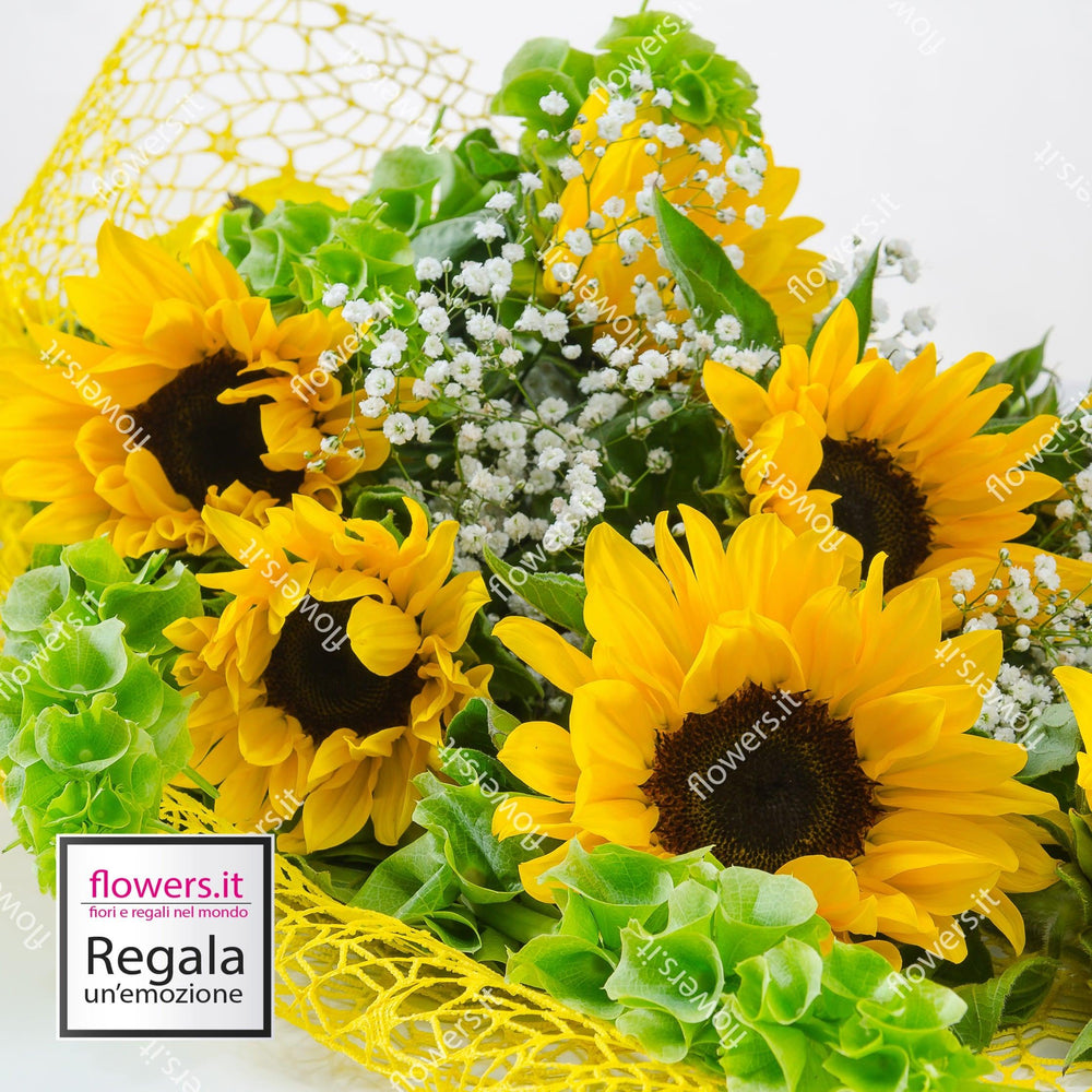 POSITIVITA' - Fascio di girasoli - Fascio di girasoli e fresie bianche. | Flowers Delivery Consegna Fiori a Domicilio