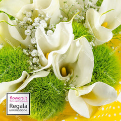 FRIENDSHIP - Calla lilies and green trek