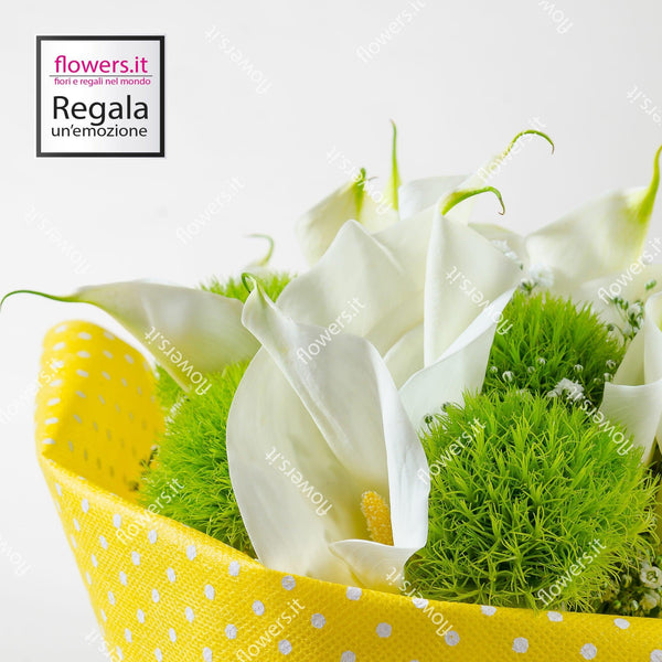 Mazzo di calle con verde decorativo. | Consegna Fiori a Domicilio per Compleanni, Compleanno, Festa del Papà, Festa della Donna, Festa della Mamma, Laurea, MATRIMONIO, Nascita, Nascite, Pasqua, Primavera