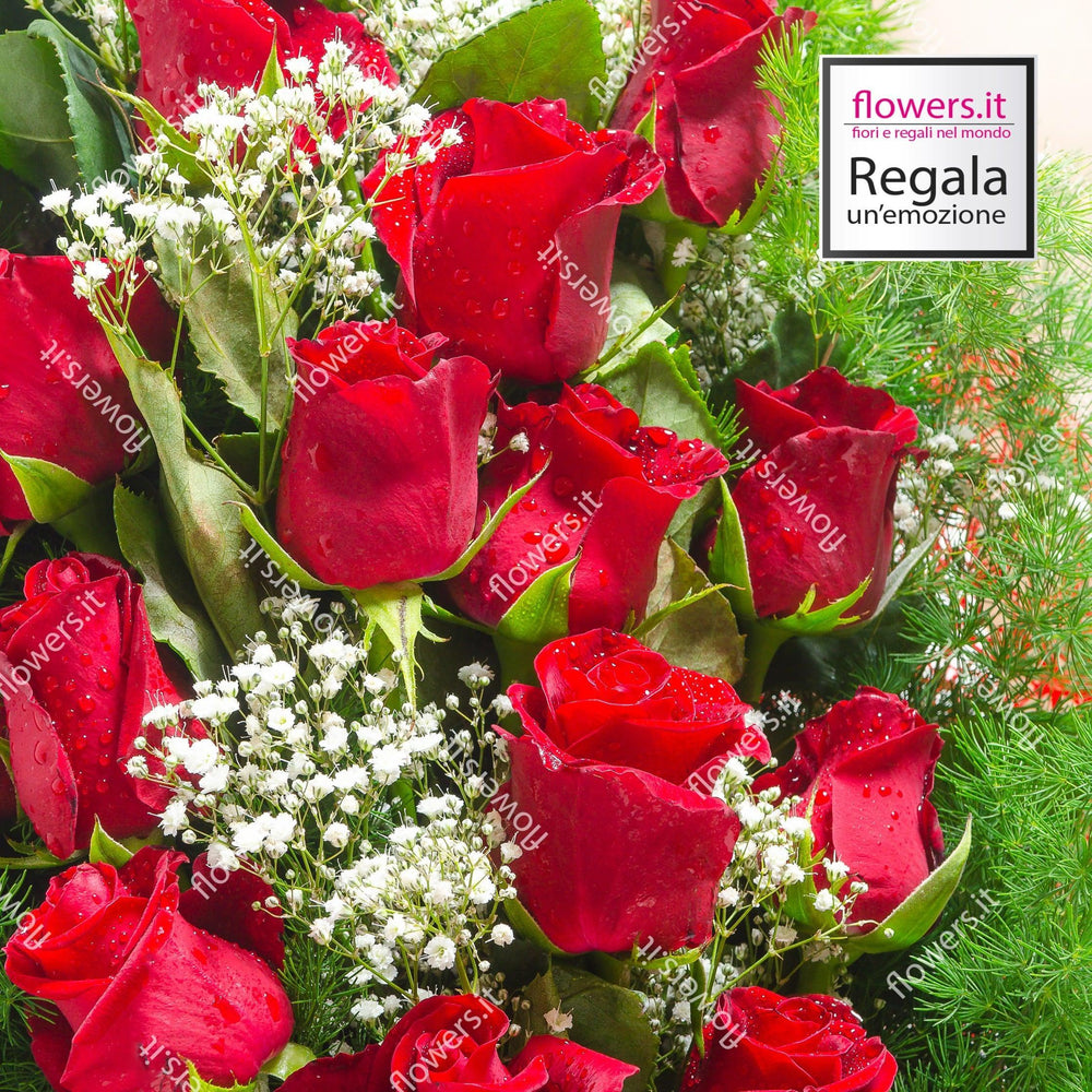 6 rose rosse con verde e Gypsophila. | Consegna Fiori a Domicilio per Best Seller, Compleanni, Compleanno, Festa del Papà, Festa della Donna, Festa della Mamma, int-10, int-30, int-40, Laurea, Natale, SAN VALENTINO, TUTTE LE STAGIONI