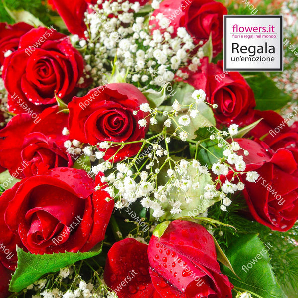 6 rose rosse con verde e Gypsophila. | Consegna Fiori a Domicilio per Best Seller, Compleanni, Compleanno, Festa del Papà, Festa della Donna, Festa della Mamma, int-10, int-30, int-40, Laurea, Natale, SAN VALENTINO, TUTTE LE STAGIONI