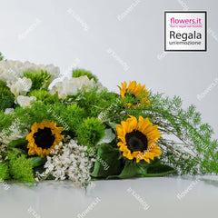 SORRISO -  Girasoli, ginestra, fresia, green trek
