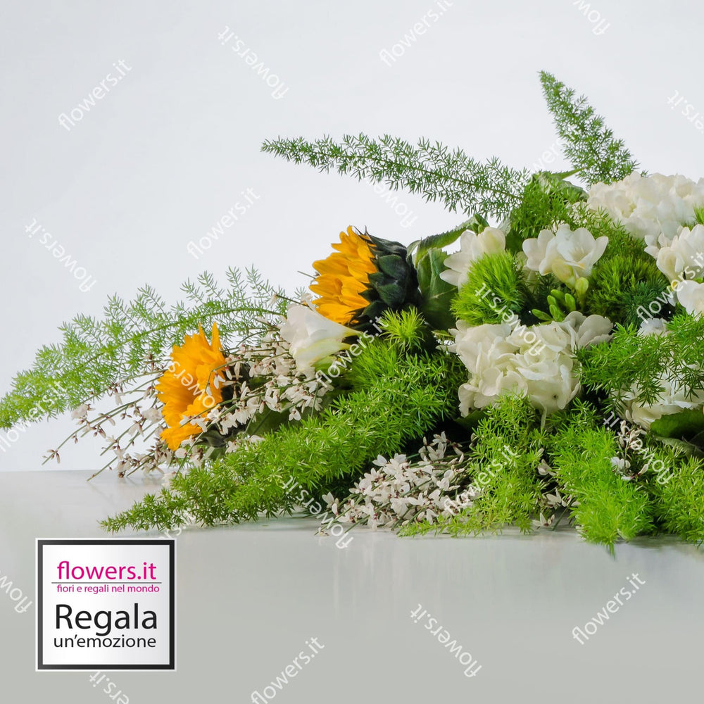 SORRISO - Girasoli, ginestra, fresia, green trek - Fresie, girasoli, e verde decorativo. | Flowers Delivery Consegna Fiori a Domicilio