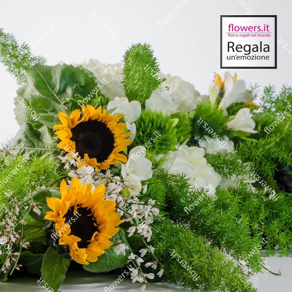 SORRISO - Girasoli, ginestra, fresia, green trek - Fresie, girasoli, e verde decorativo. | Flowers Delivery Consegna Fiori a Domicilio