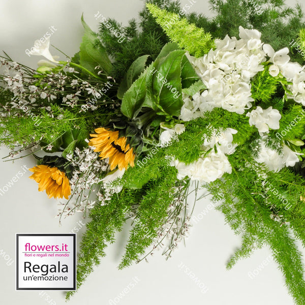 SORRISO - Girasoli, ginestra, fresia, green trek - Fresie, girasoli, e verde decorativo. | Flowers Delivery Consegna Fiori a Domicilio