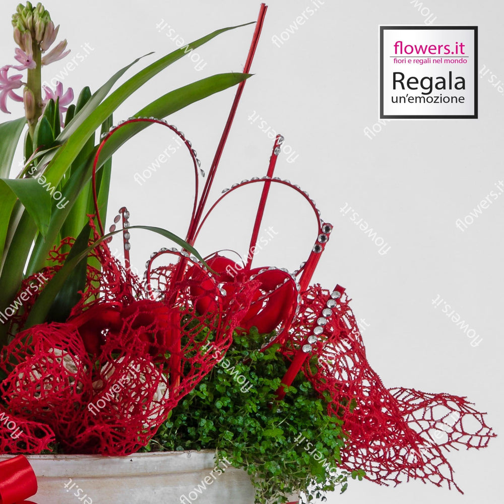 FANTASIA ESOTICA - Composizione con Guzmania - Pianta Guzmania rossa piccola. | Flowers Delivery Consegna Fiori a Domicilio