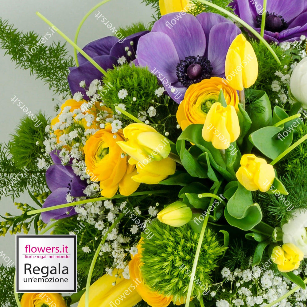 Ciotola con anemoni, tulipani e ranuncoli. | Consegna Fiori a Domicilio per Compleanni, Festa del Papà, Festa della Donna, Festa della Mamma, MATRIMONIO, Pasqua, Primavera, TUTTE LE STAGIONI
