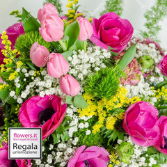 ALLEGRIA - Tulipani, anemoni, green trek, solidago