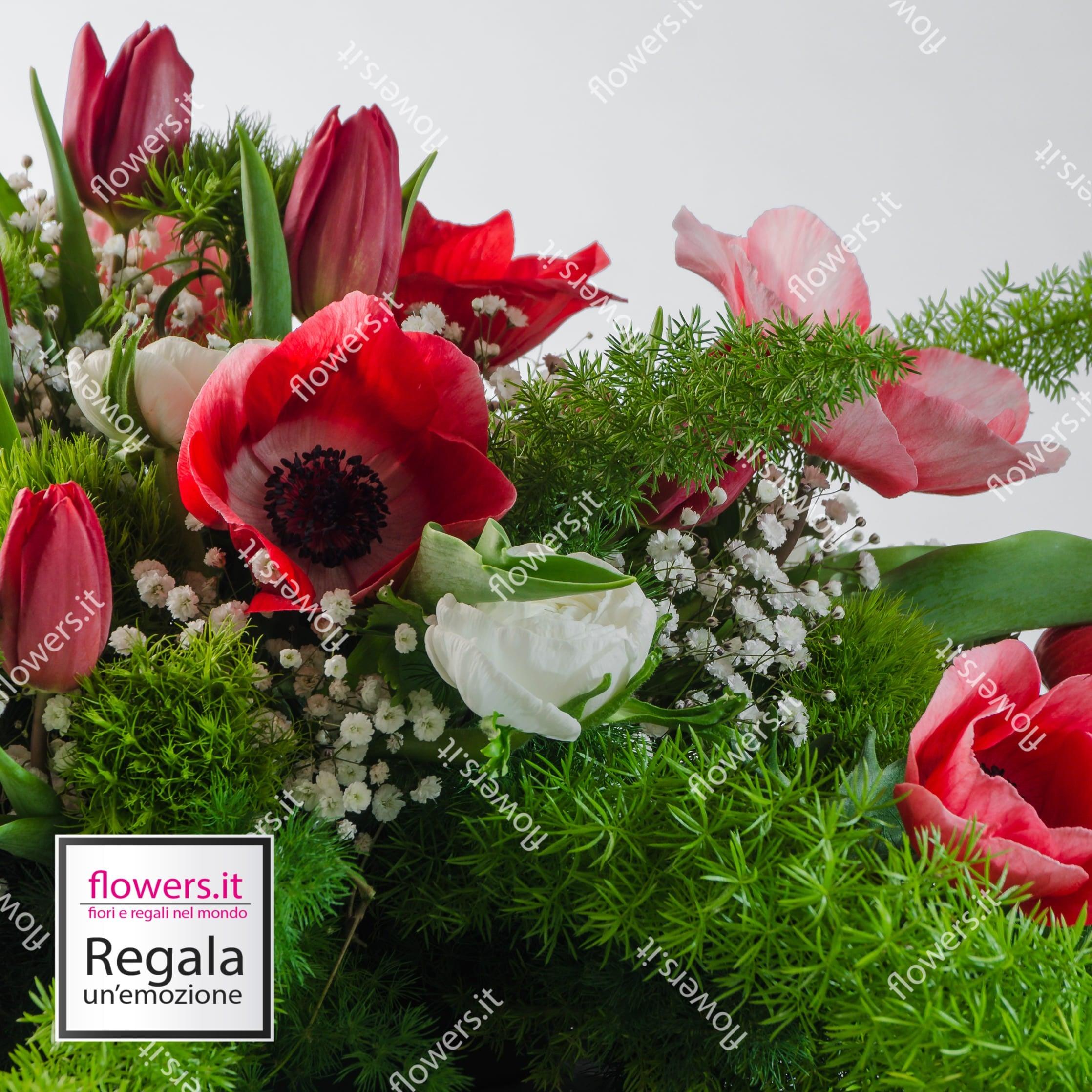 MAGNIFICA SORPRESA -  Anemoni, tulipani, ranuncoli, gypsofila, green trek