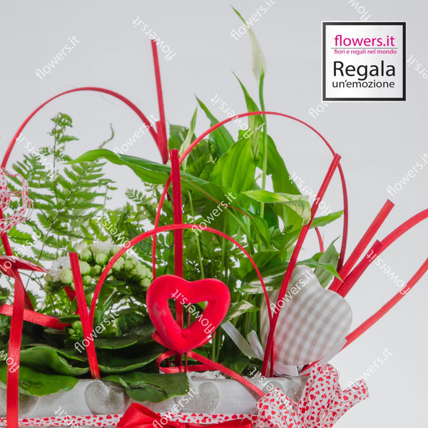 CREATIVITA' - spatifillo, calancola bianca, felce - Composizione in ciotola semplice. | Flowers Delivery Consegna Fiori a Domicilio