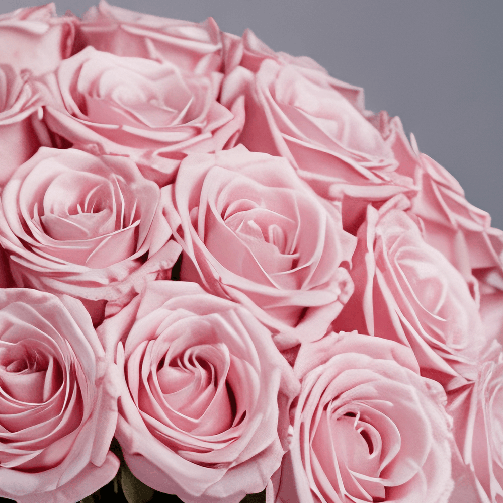 Bouquet piccolo di Rose Rosa | Consegna Fiori a Domicilio per ANNIVERSARI, ANNIVERSARIO, Compleanni, Compleanno, Festa della Donna, Festa della mamma, Laurea, MATRIMONIO, Nascita, Pasqua, RINGRAZIAMENTI, SAN VALENTINO