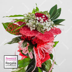 AMORE UNICO - Rosa rossa