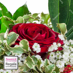 AMORE UNICO - Rosa rossa