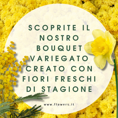 CREATIVITA' SOLARE – Bouquet del Fiorista con Fiori Gialli e Mimosa
