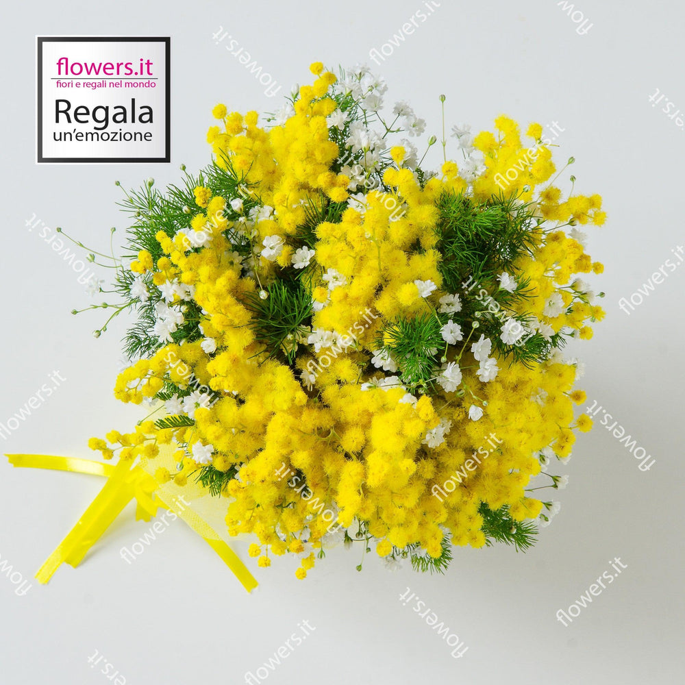 LA FORZA DELLE DONNE - Mimosa - Bouquet classico di mimosa. | Flowers Delivery Consegna Fiori a Domicilio