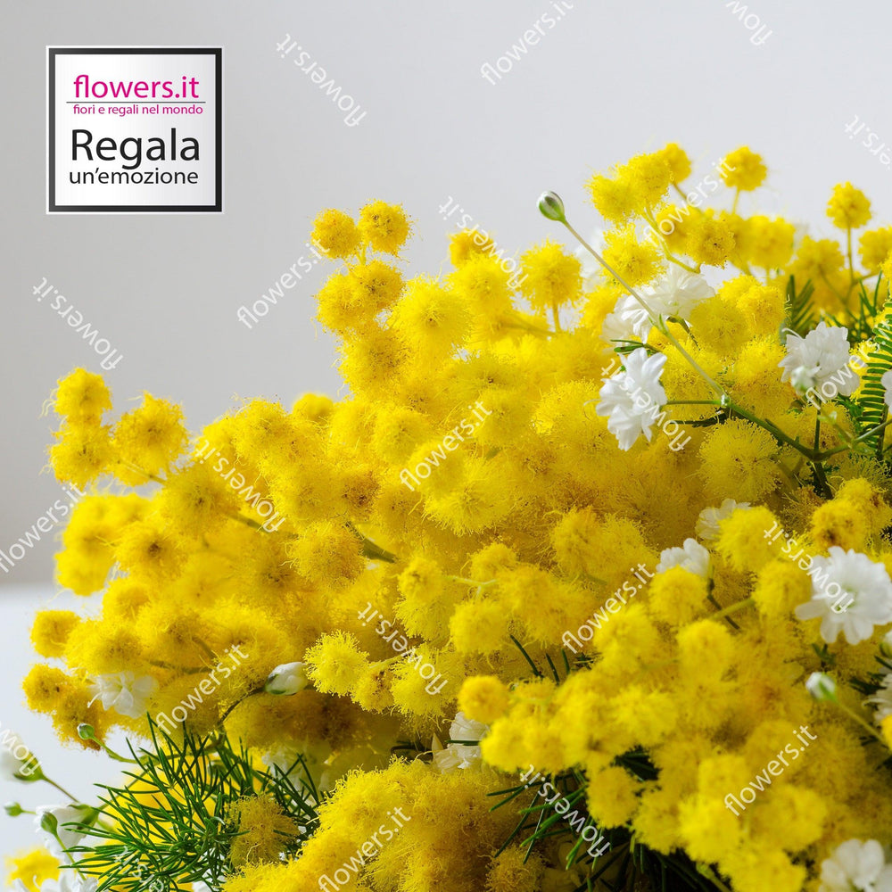 LA FORZA DELLE DONNE - Mimosa - Bouquet classico di mimosa. | Flowers Delivery Consegna Fiori a Domicilio