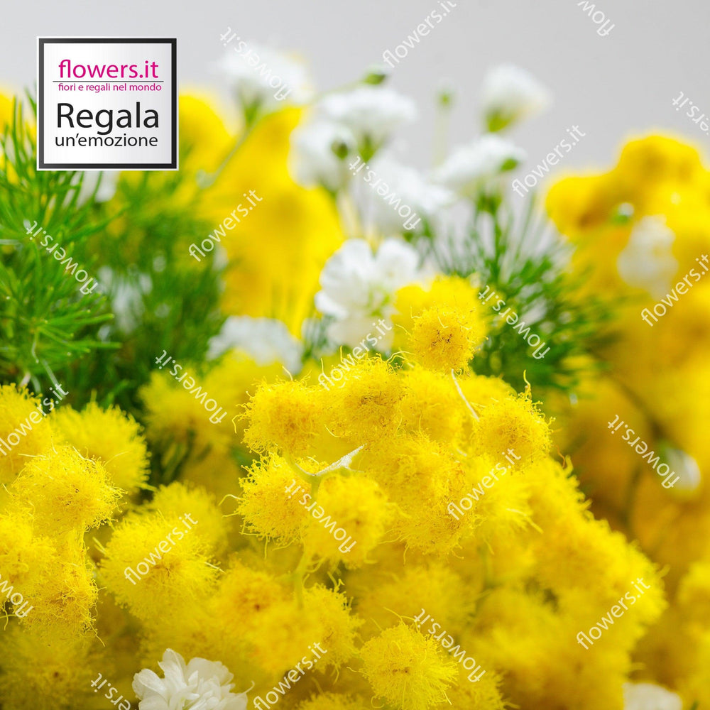 LA FORZA DELLE DONNE - Mimosa - Bouquet classico di mimosa. | Flowers Delivery Consegna Fiori a Domicilio