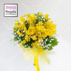 WOMEN'S STRENGTH - Mimosa