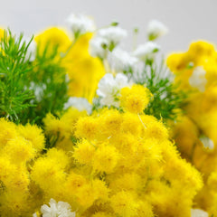 THE MOST IMPORTANT WOMAN - Red Roses with Mimosa (3 to 50 Roses)