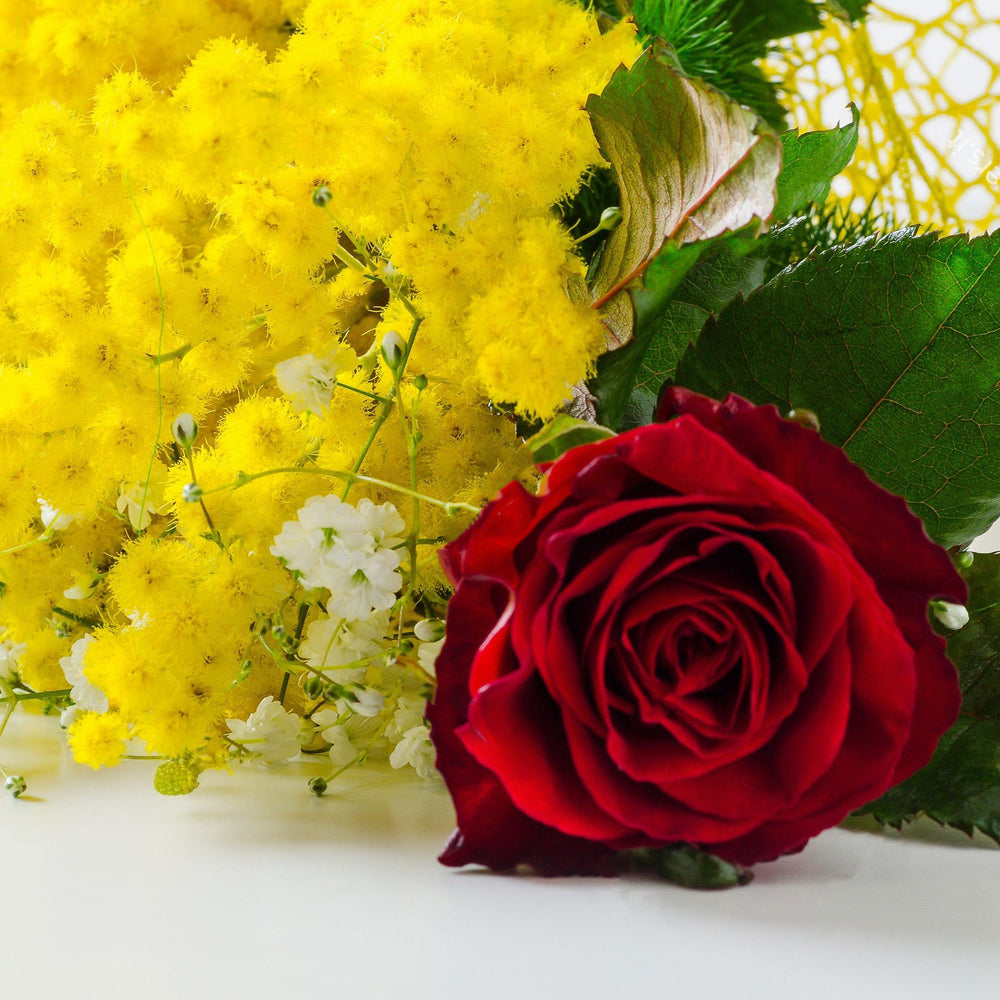 THE MOST IMPORTANT WOMAN - Red Roses with Mimosa (3 to 50 Roses)