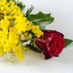 THE MOST IMPORTANT WOMAN - Red Roses with Mimosa (3 to 50 Roses)