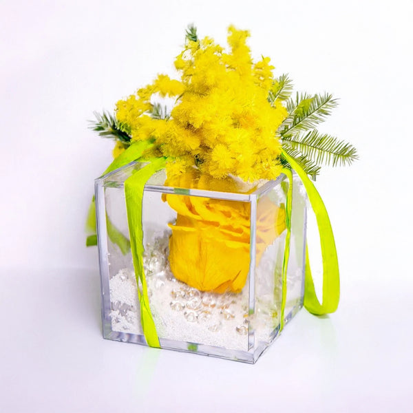 ETERNAL SUN - Stabilized Yellow Rose with Mimosa