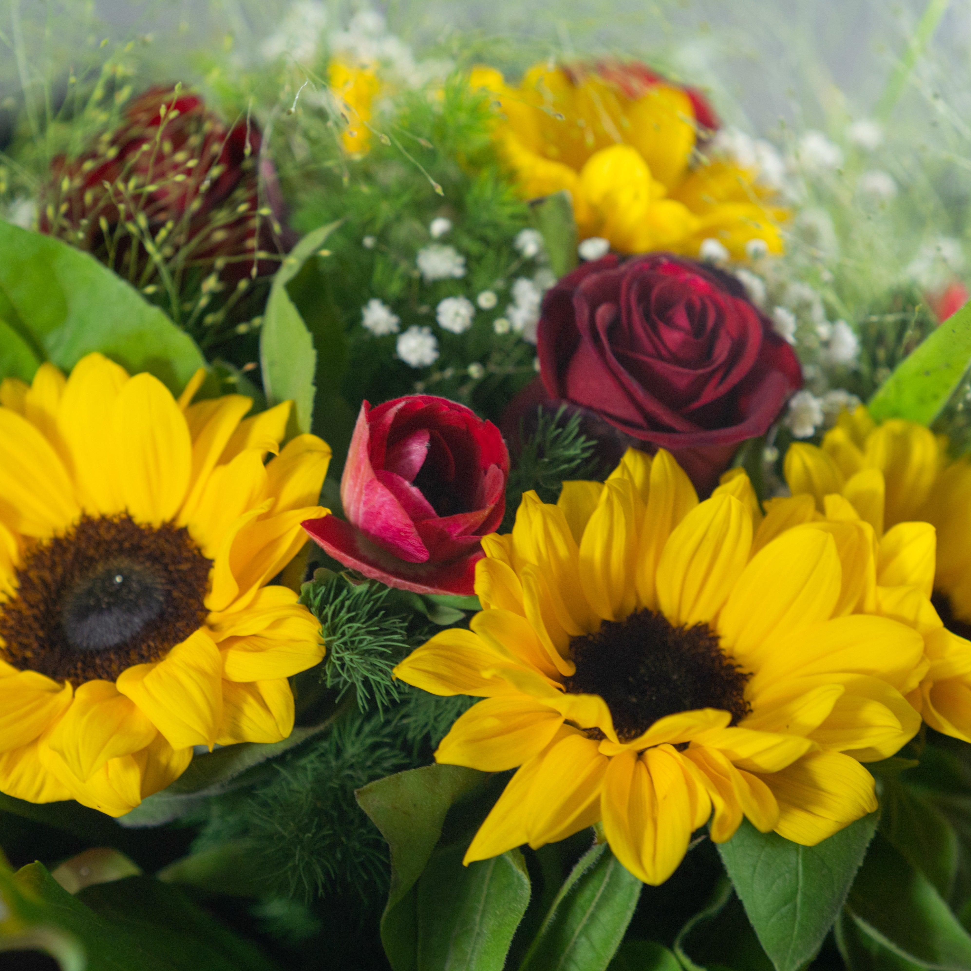 Bouquet Rose Rosse e Girasoli