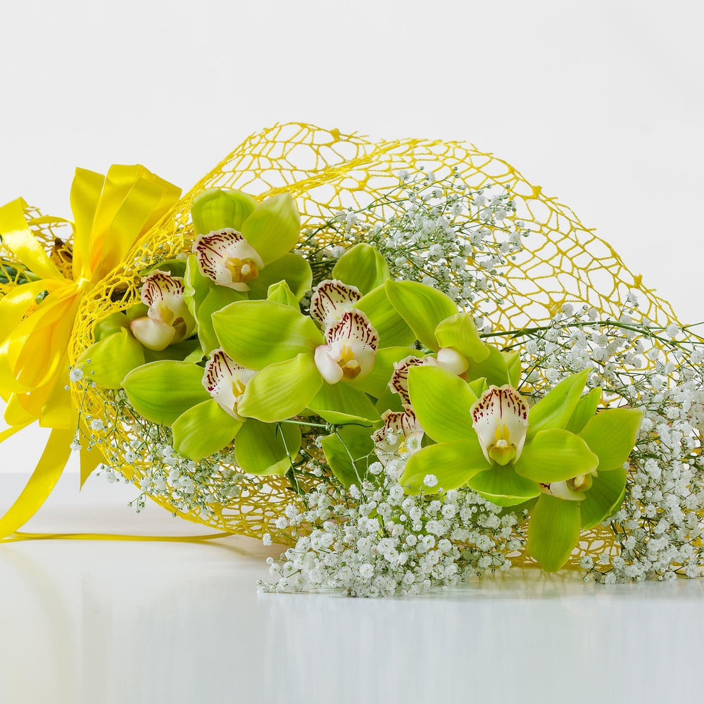 Ramo di cymbidium. | Consegna Fiori a Domicilio per Compleanni, CONDOGLIANZE, Festa del Papà, Festa della Donna