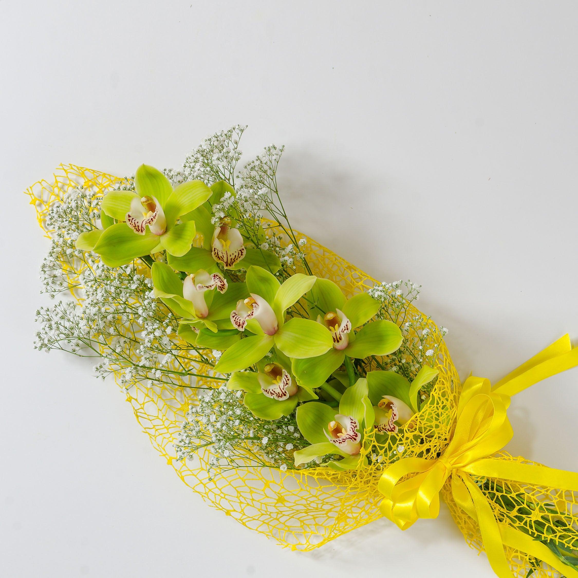 ORO PREZIOSO - Cymbidium, Orchidea verde