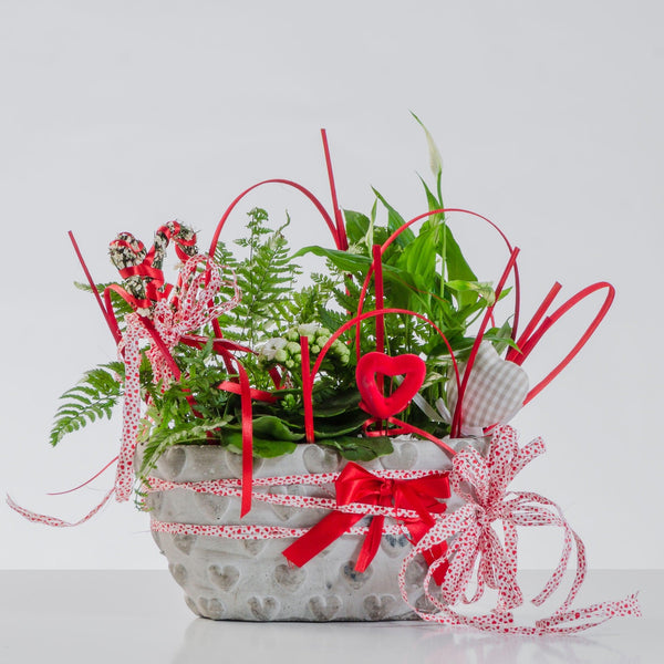 CREATIVITA' - spatifillo, calancola bianca, felce - Composizione in ciotola semplice. | Flowers Delivery Consegna Fiori a Domicilio