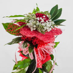 AMORE UNICO - Rosa rossa