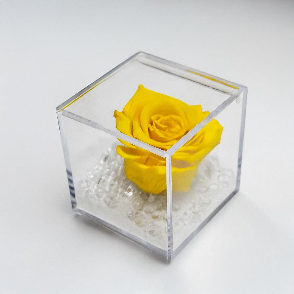 Rosa gialla stabilizzata in box. | Consegna Fiori a Domicilio per ANNIVERSARI, Compleanni, Compleanno, Festa del Papà, Festa della Donna