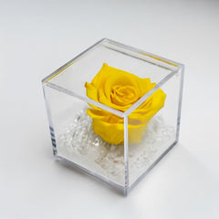 The Stabilized Yellow Rose: an eternal treasure chest of emotion