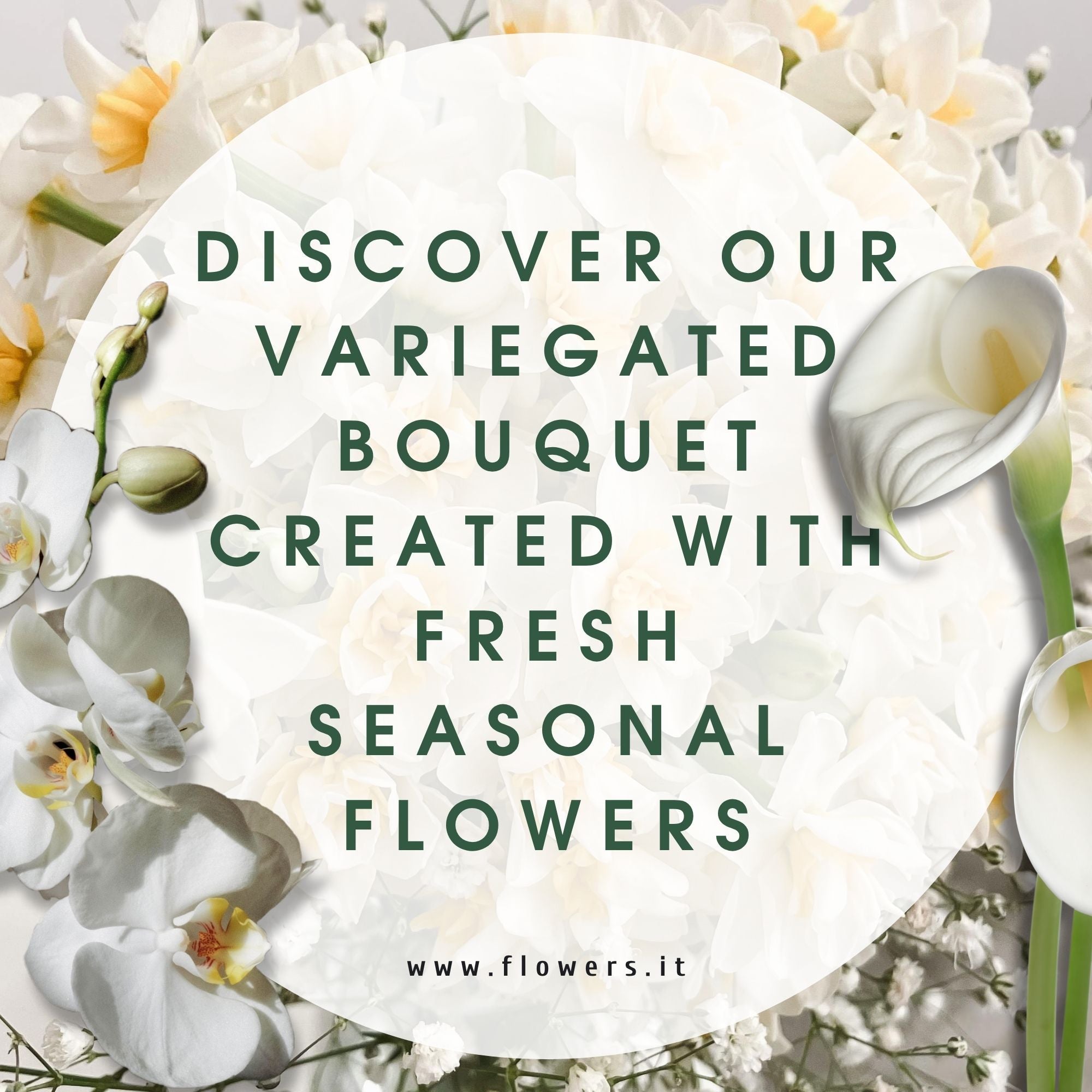 CREATIVITA' BIANCO - Il Bouquet del fiorista con tonalità bianco