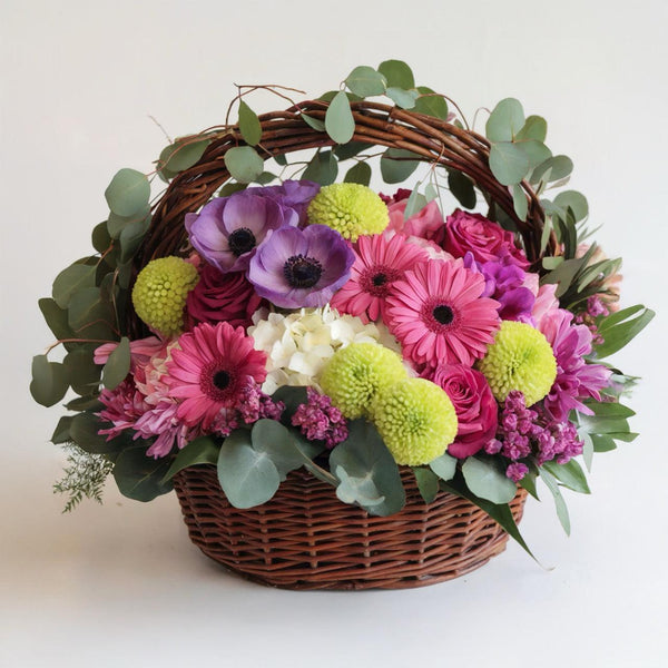Ciotola piccola Gerbere e Fiori Misti | Consegna Fiori a Domicilio per Compleanni, Festa della Mamma, Nascite, Pasqua, Primavera