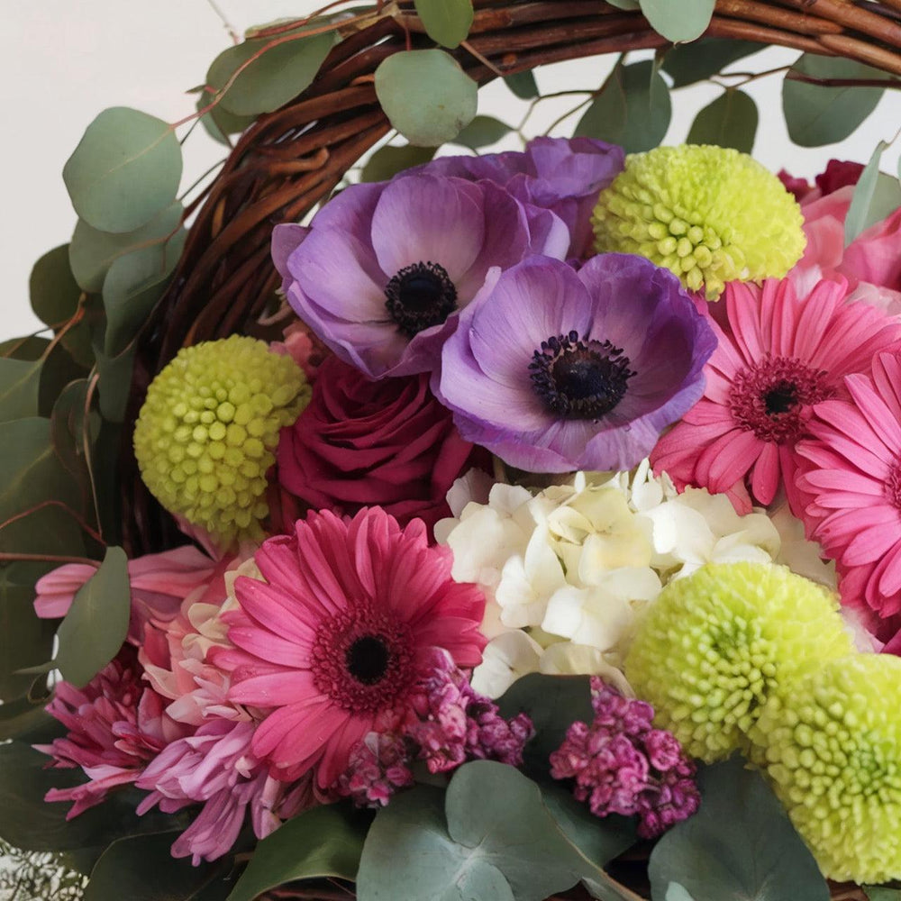 Ciotola piccola Gerbere e Fiori Misti | Consegna Fiori a Domicilio per Compleanni, Festa della Mamma, Nascite, Pasqua, Primavera