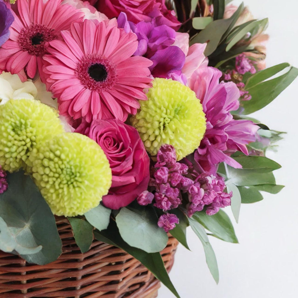 Ciotola piccola Gerbere e Fiori Misti | Consegna Fiori a Domicilio per Compleanni, Festa della Mamma, Nascite, Pasqua, Primavera